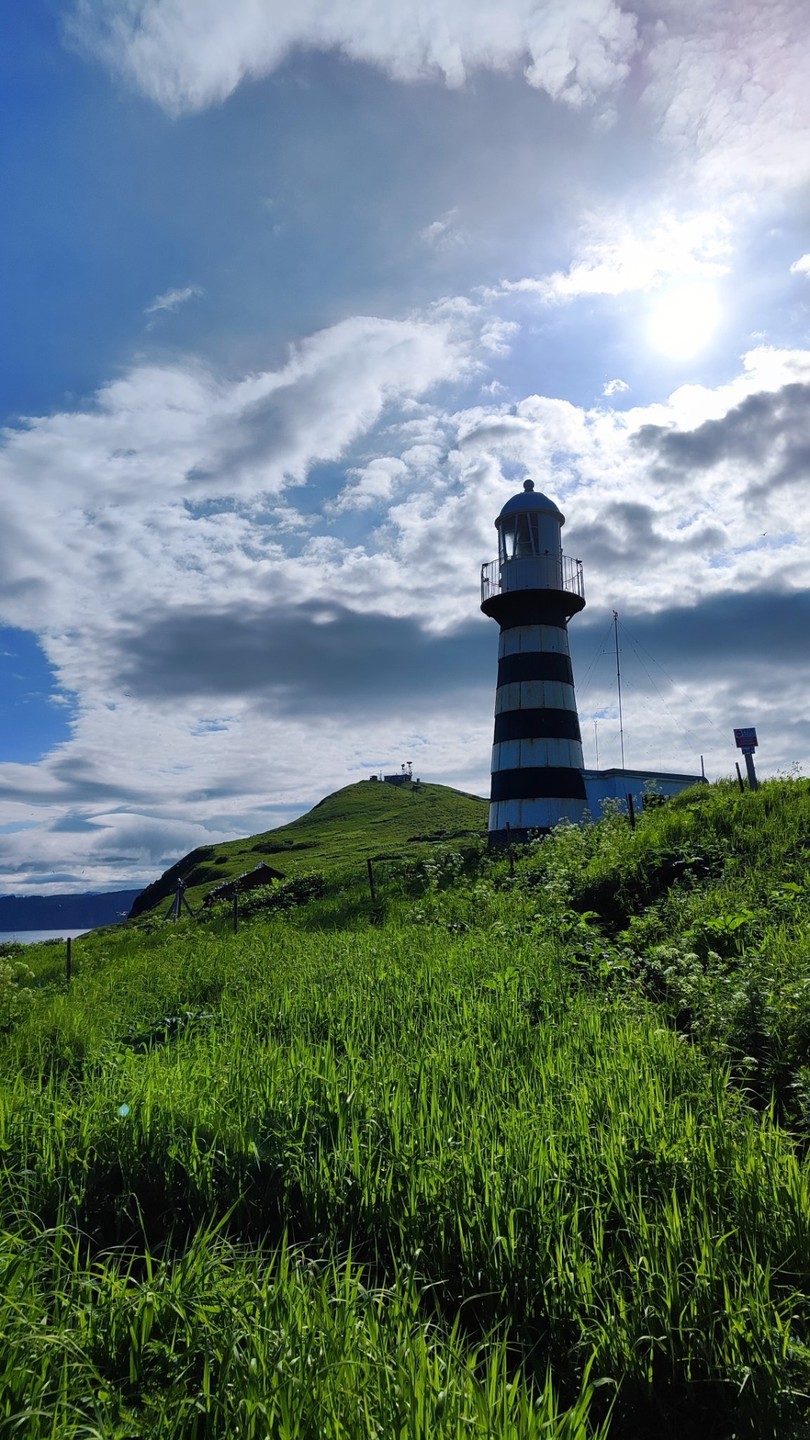 Самые популярные места Камчатки за 1 день (Алиса)