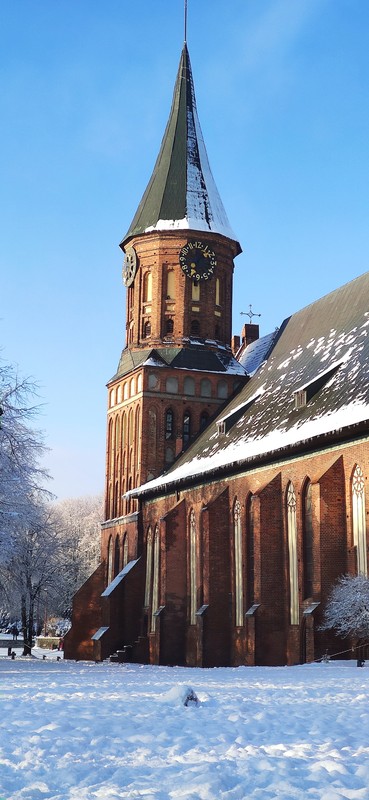 Калининград сквозь столетия