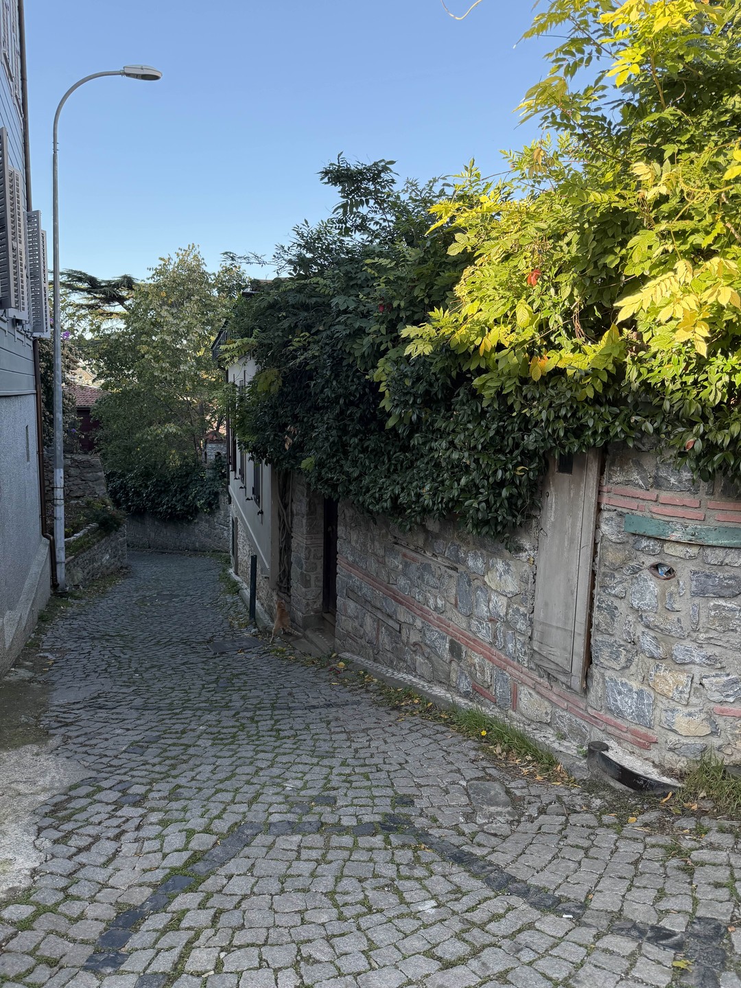 Хорошая экскурсия для небольшой группы, проходит в форме легкой прогулки. Ясмин провела по интересным нетуристическим местам