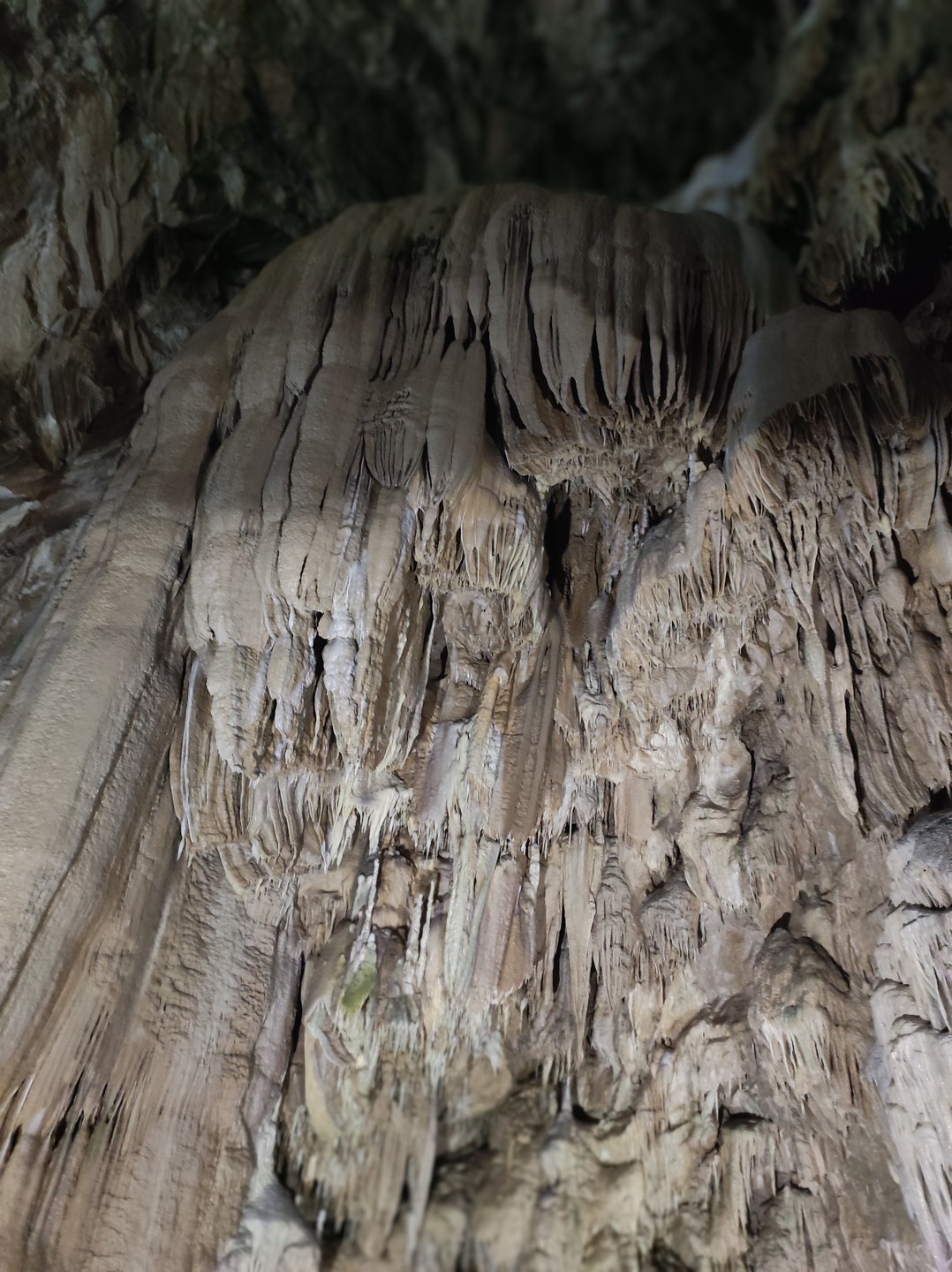 Отличная экскурсия, были учтены все наши пожелания и согласовано время встречи, как нам было удобно. Никуда