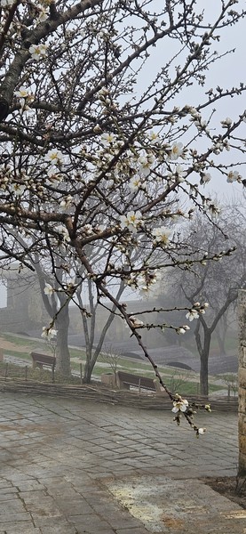 Хотим поблагодарить Шамиля за экскурсию! Погрузил нас в историю разных эпох, быт и традиции! С погодой