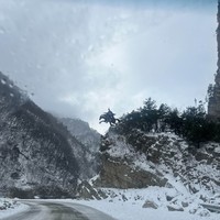 reviews img