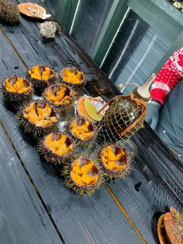 Виды Териберка: ценные дары Баренцева моря