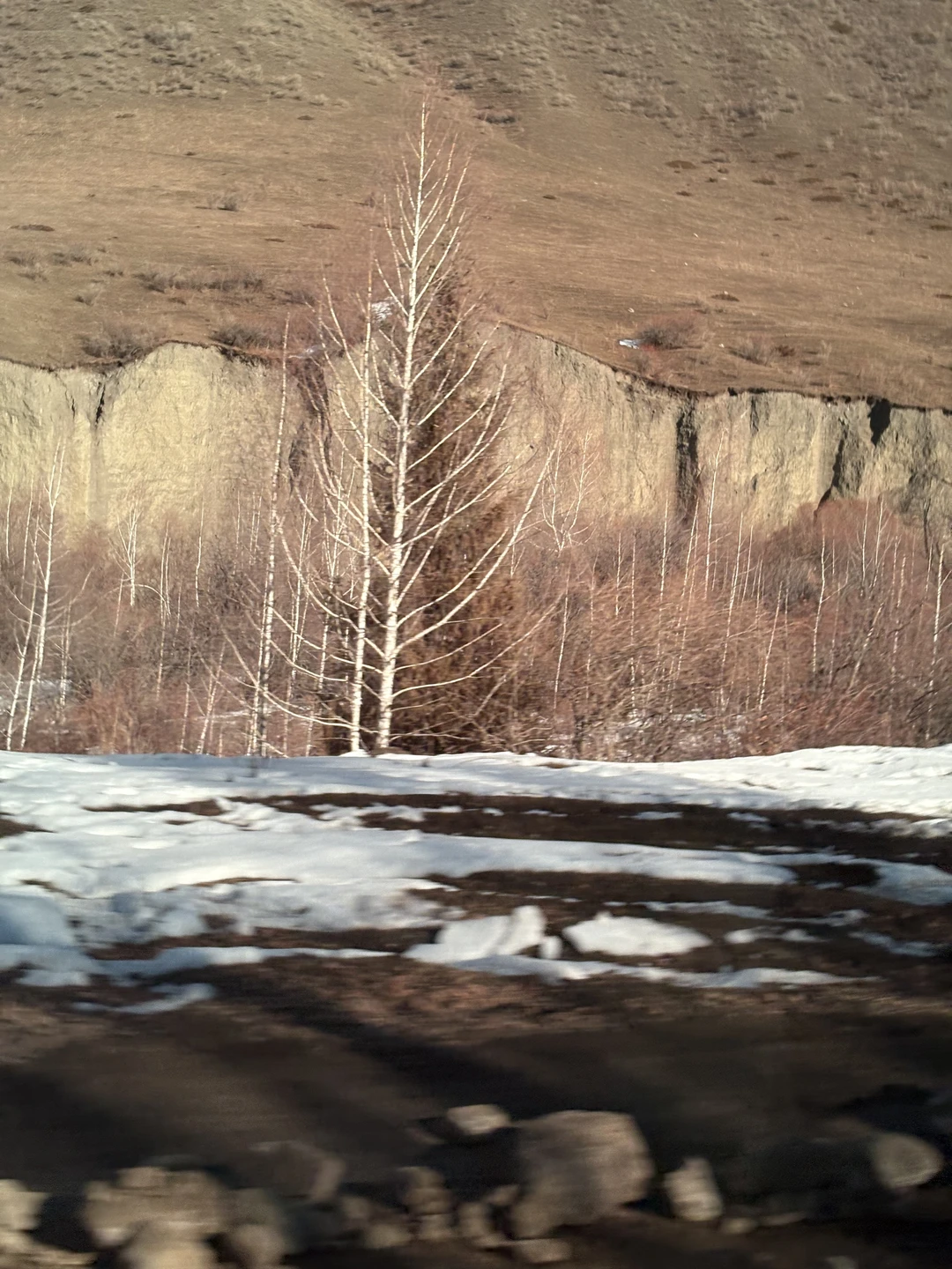 Невероятное чудо расчудесное)))