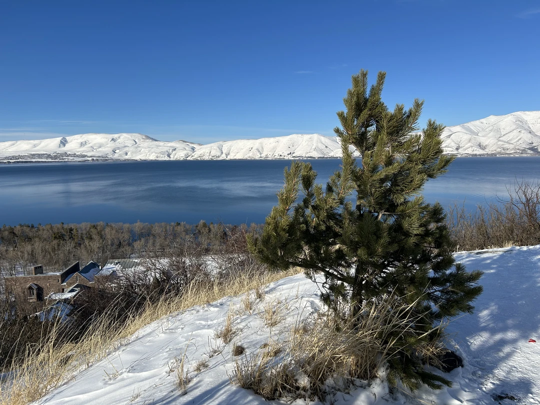 Спасибо большое за прекрасно организованный тур Араму и нашему чудесному гиду Ованесу, который 5 дней знакомил