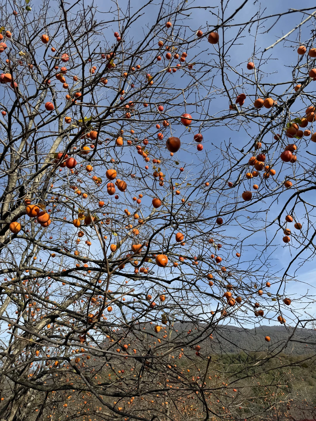 Спасибо Вячеславу за экскурсию!