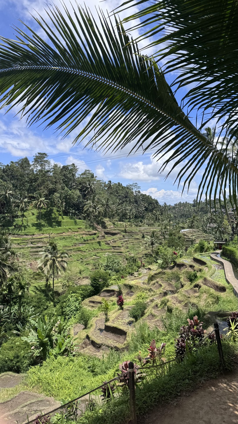Экскурсия отлично подходит для первого знакомства с Бали. Полагаю, гид Путу именно под наш уровень адаптировала