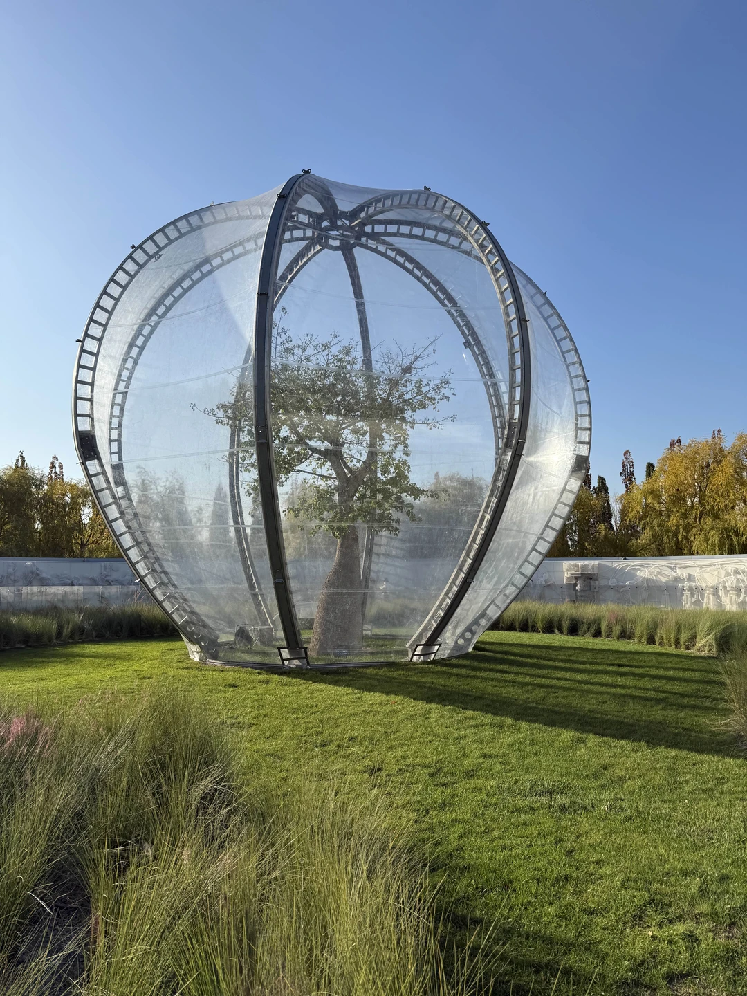 Шикарная экскурсия! Спасибо большое Светлане, потрясающий гид!