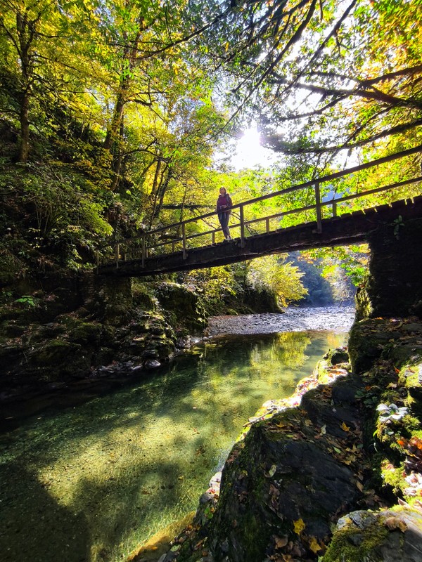 Фото отзыва 3: экскурсия "По тропам Великого шёлкового пути с культурологом — из Сочи"