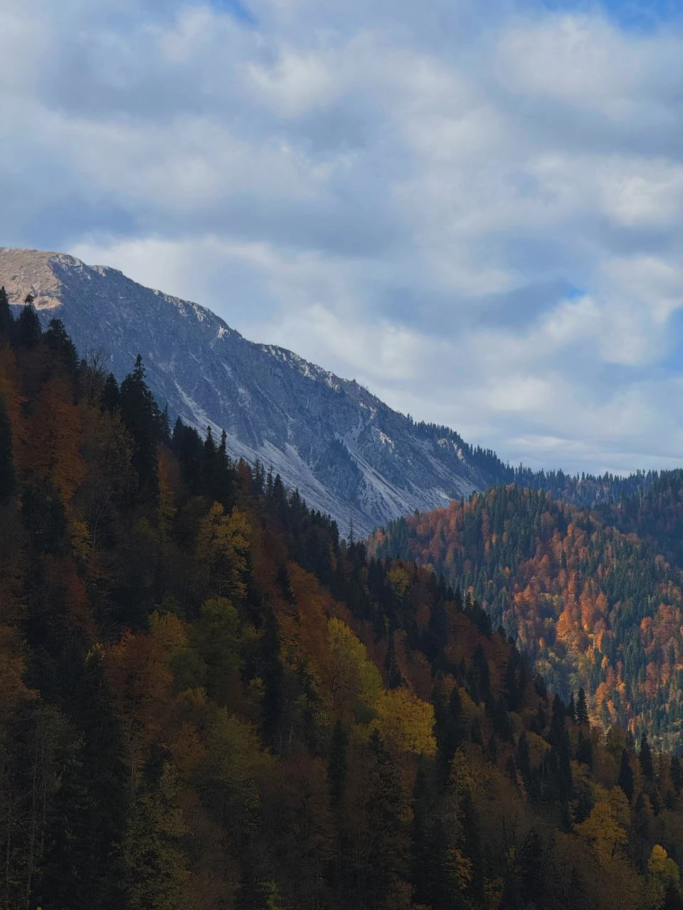 Ездили с подругами втроем, одна из нас когда-то давно уже была в Абхазии, но впечатление у