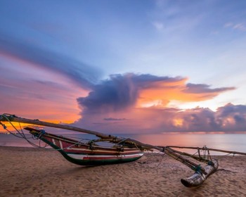 Фото отзыва 2: авторский тур "Шри-Ланка: путешествие по острову и пляжный отдых"