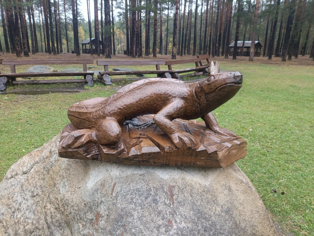 Хотя не повезло с погодой, экскурсия была замечательной. Много интересного и красивого. Неожиданный пдюс дождя -