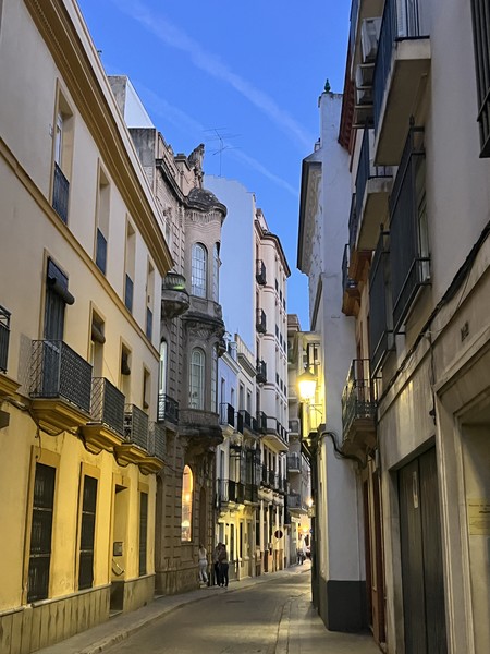 Екатерина прекрасно владеет материалом. В качестве обзорной экскурсии это отличный вариант! Погружение в историю было максимальным