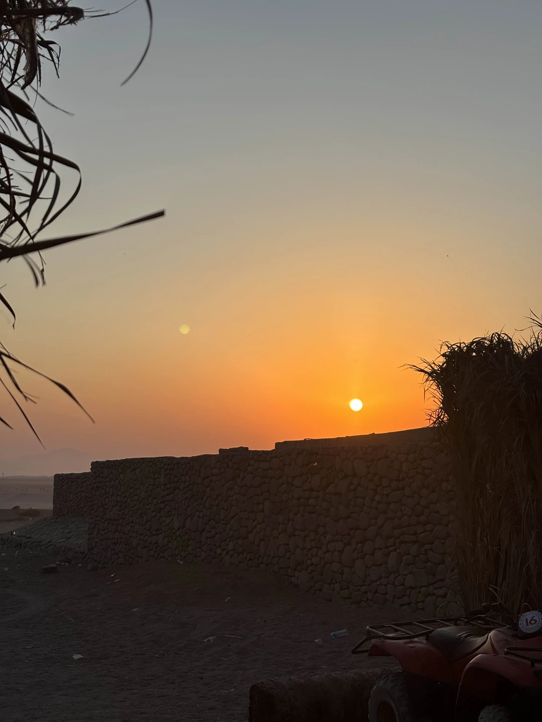 сафари супер! выехали в 4 утра, встретили рассвет, все понравилось