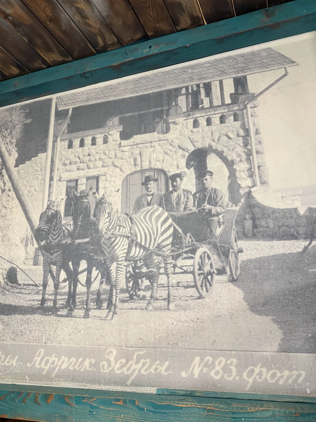 Тбилиси с огоньком (Лариса)