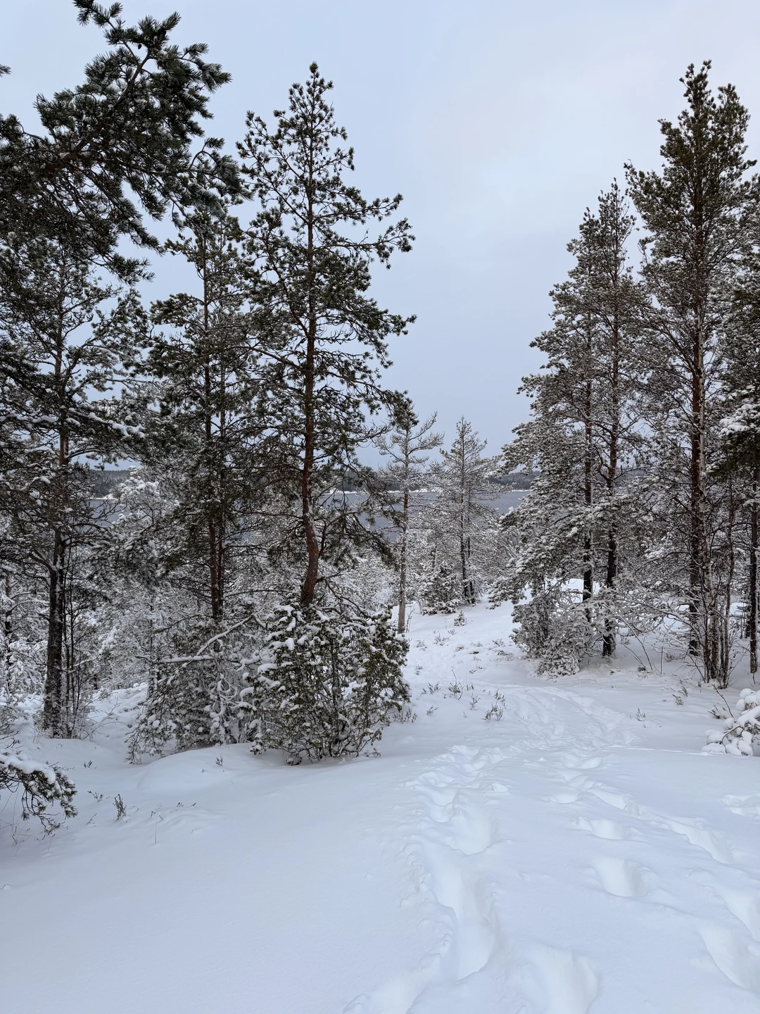 Понимаю насколько важны отзывы при выборе экскурсии, так вот: посетили экскурсию с семьей 04.01.26, после внесения