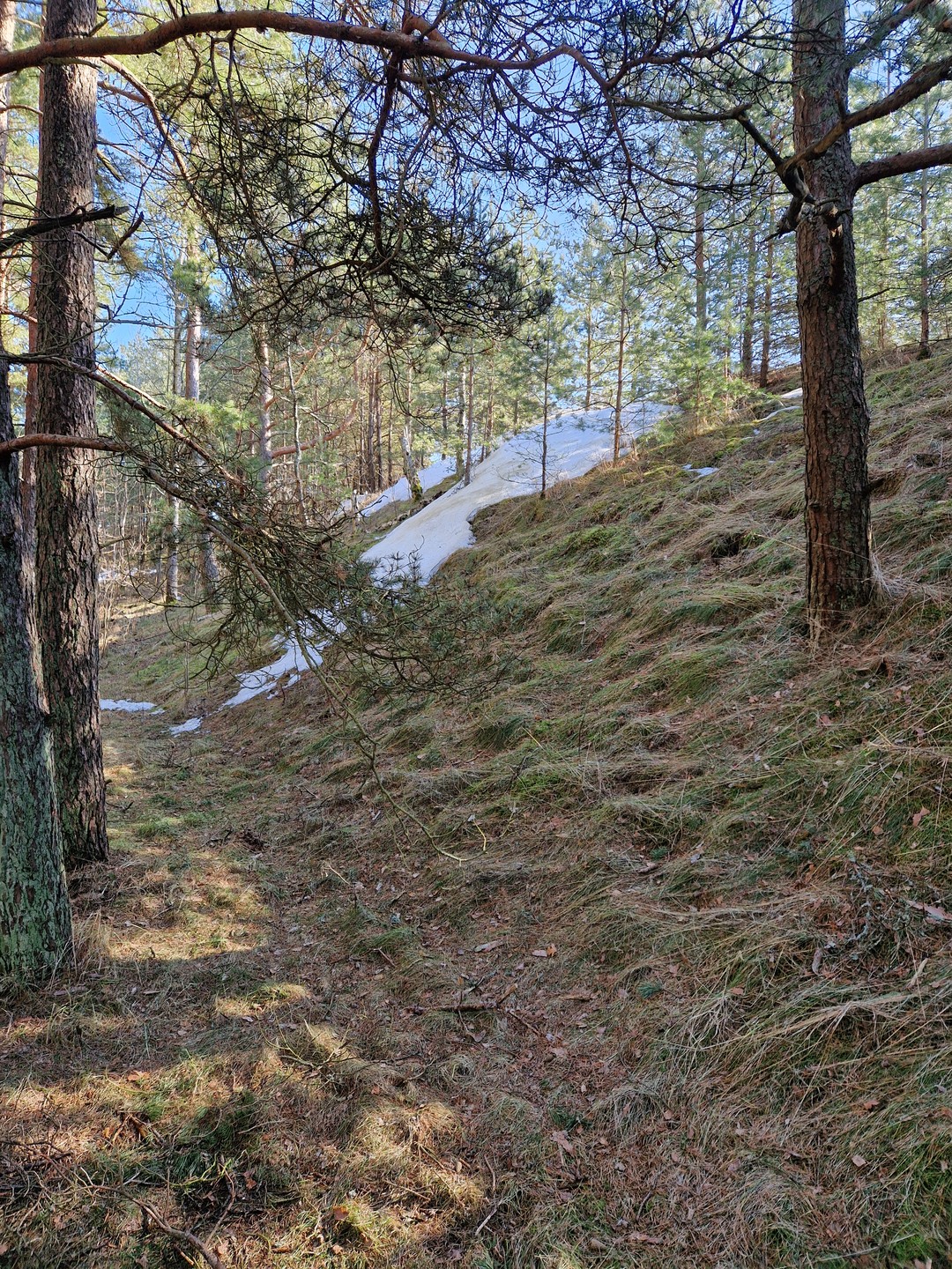 Экскурсия, в целом, понравилась: во время перемещения между объектами озвучивалась основная информация, потому на самом объекте