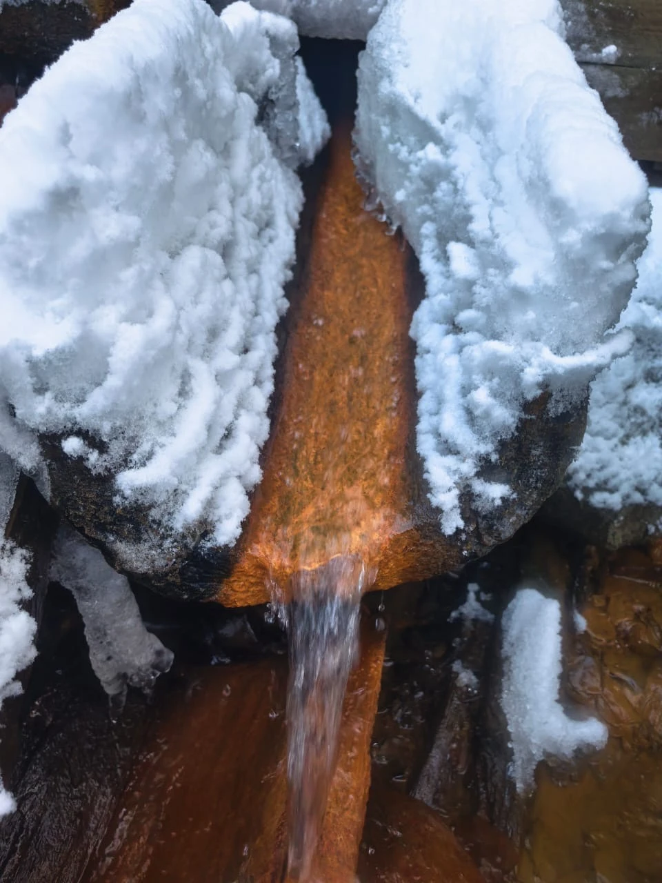 Советую! Гид Ольга - профессионал. Красивые заповедные места, загадочные природные явления очаровывают. Тонкая красота Севера открывается