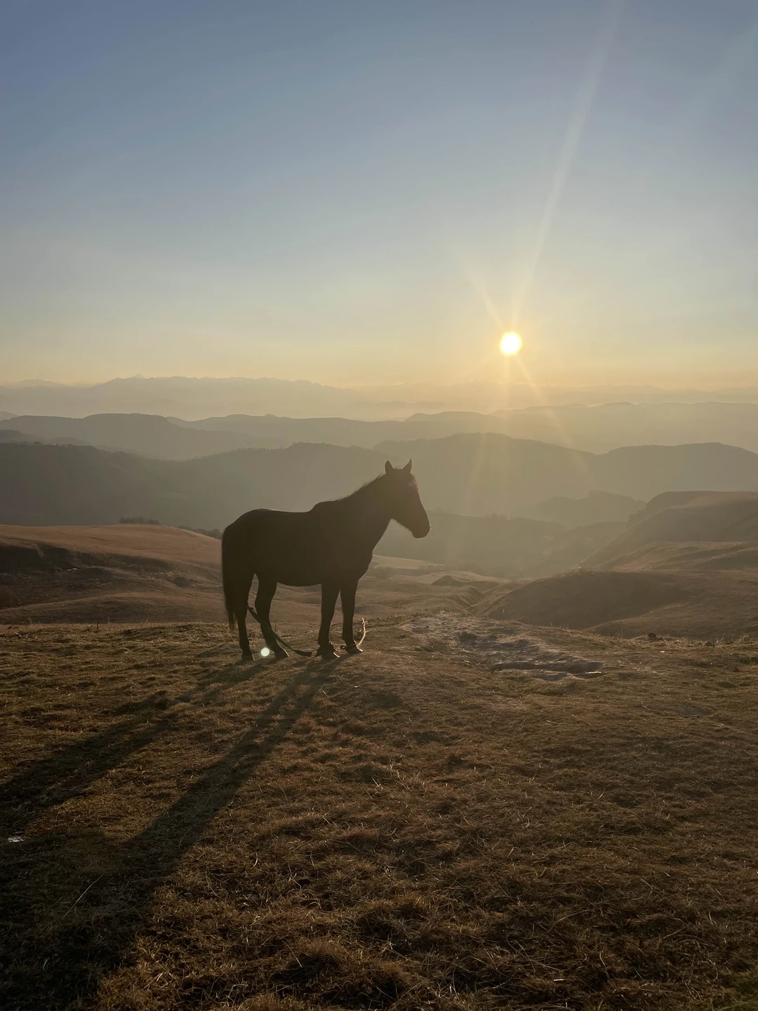 Мы остались очень довольны экскурсией. Столько эмоций за один день! Дорога к Домбаю очень живописная, куда