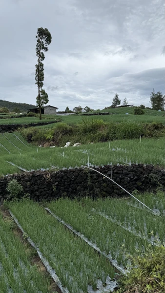Потрясающее путешествие по экзотическим местам Бали! Ваян - самый лучший гид из всех, кого мы встретили