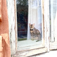Фото отзыва 1: экскурсия "Нижний Новгород в деталях: таинственное Започаинье и «карман России»"