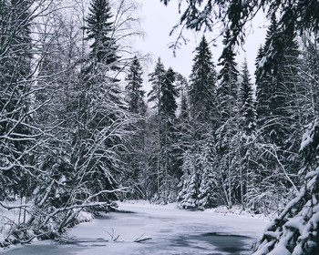 Водопады Ахвенкоски и горный парк «Рускеала»
