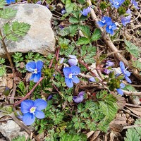 Фото отзыва 3: экскурсия ""