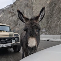 Фото отзыва 1: экскурсия "Северная Осетия в мини-группе: путешествие из Ессентуков"