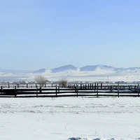 Фото отзыва 2: экскурсия "Иволгинский дацан и священные места древней долины"