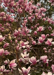 Фото отзыва 6: экскурсия "Не&nbsp;скучайте в&nbsp;аэропорту Ташкента!"