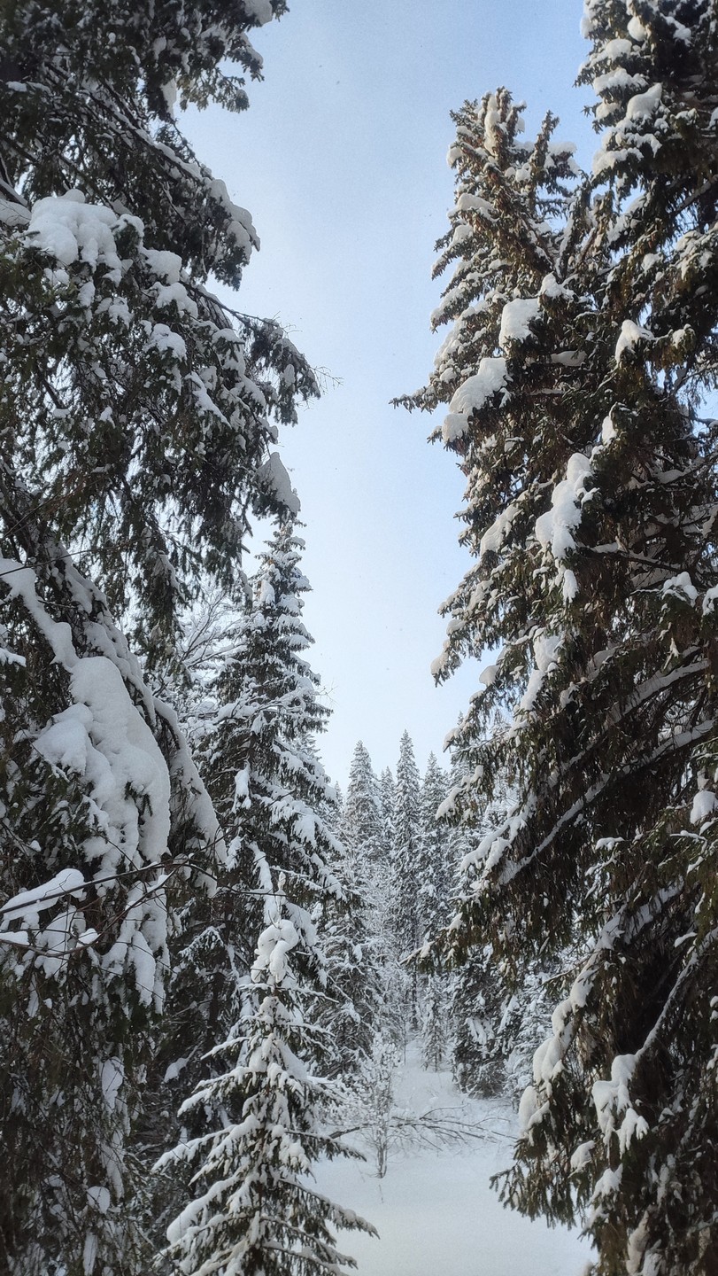 Виктор — хороший водитель, отличный рассказчик и просто разносторонний человек. Программа понравилась, зима в Пермском крае