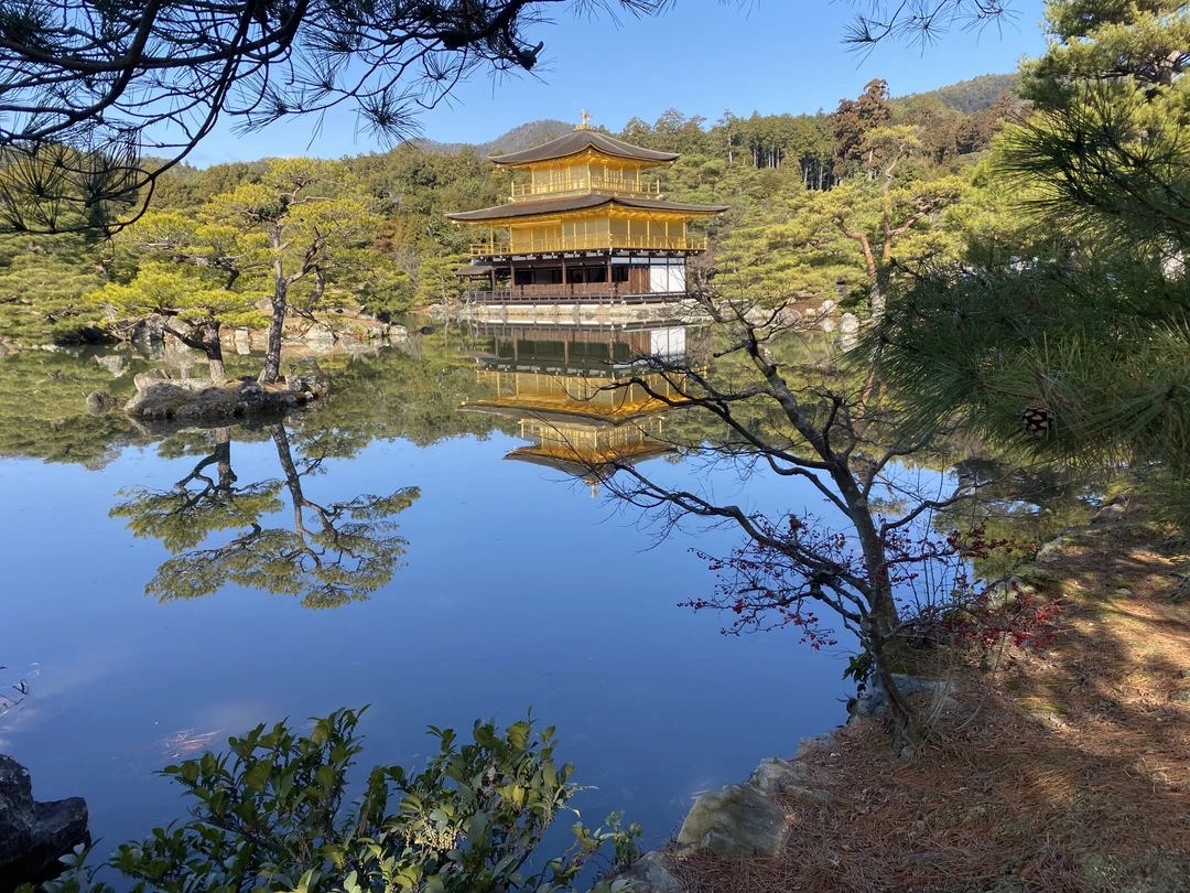 Это был великолепный день в Киото! Елена подстроила всю программу осмотра города под наши возможности (у