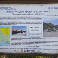 Фото туриста Галина 5 - Рано утром — на Куршскую косу