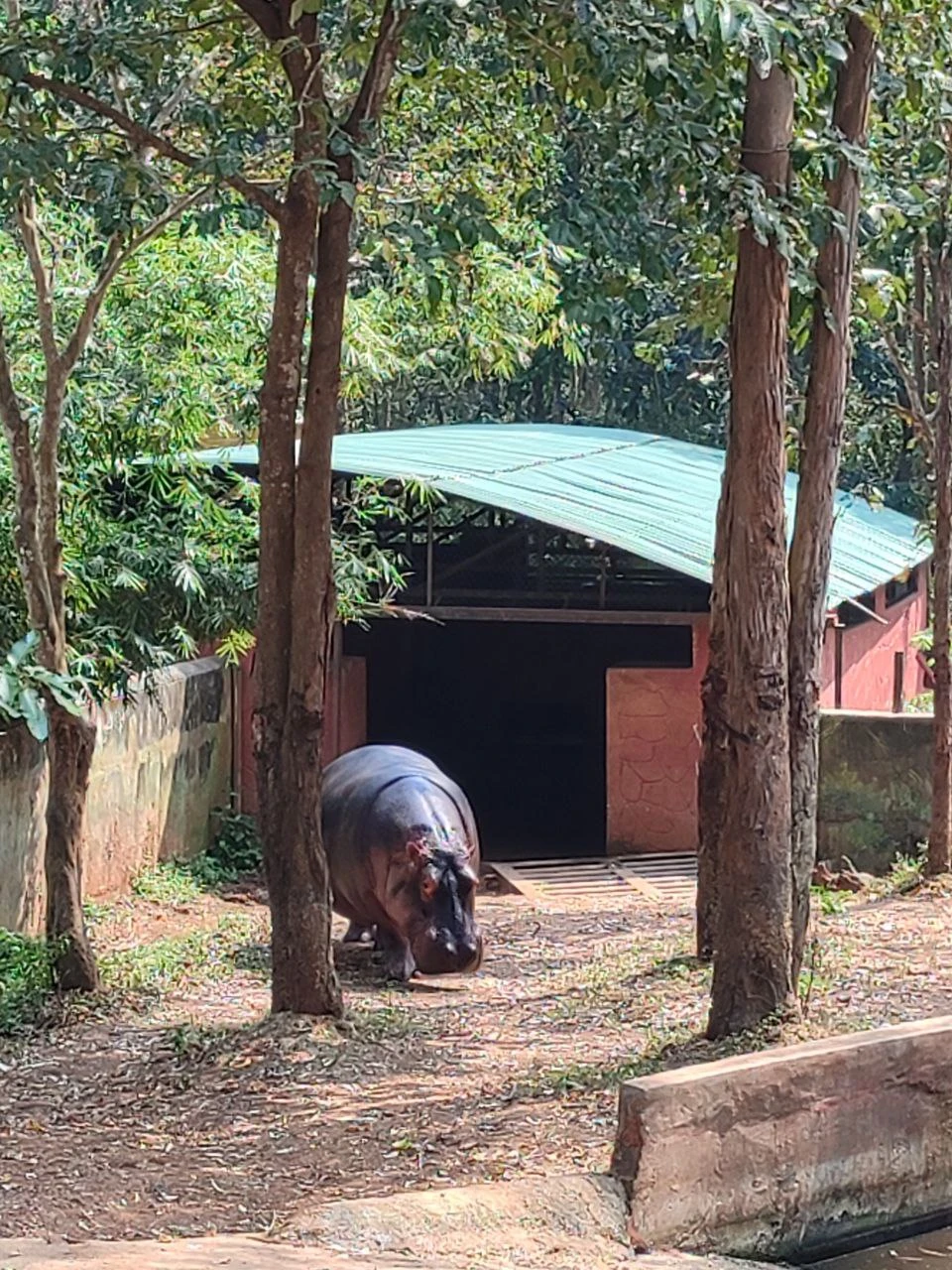 В целом, экскурсия понравилась. Дорога была достаточно легкой и на комфортабельных автомобилях. Посетили интересные и живописные