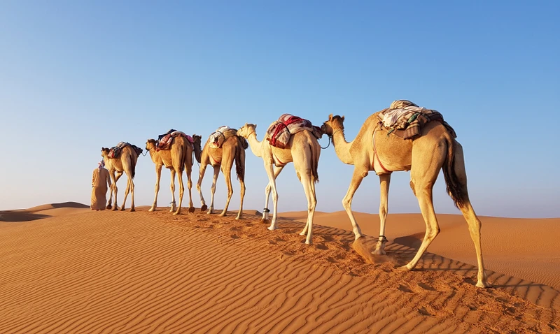 Индивидуальный джип-тур в пустыню Вахиба и оазис Вади Бани Халид