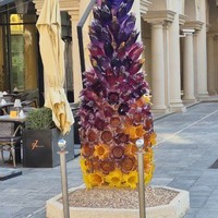 Фото отзыва 2: экскурсия "Два лица Катара в Дохе: этническая деревня и современный квартал"