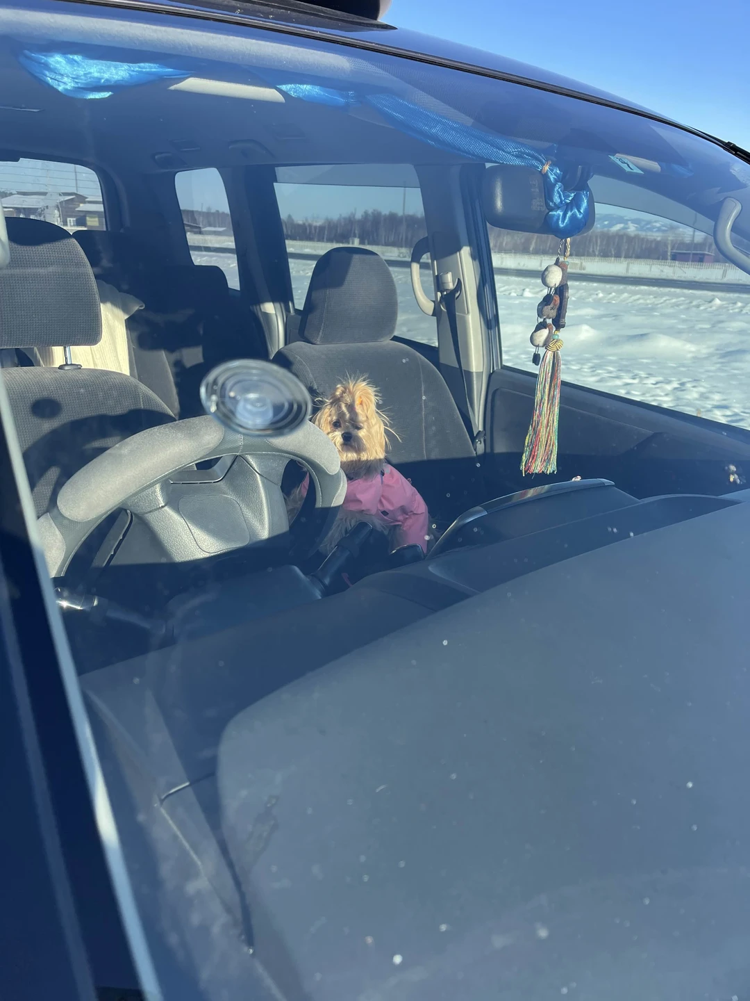 Туяна прекрасный гид и человек, если ехать к Янжиме, то с ней