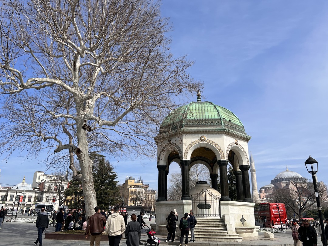 Фотопрогулка «Великолепный Стамбул» (Татьяна)