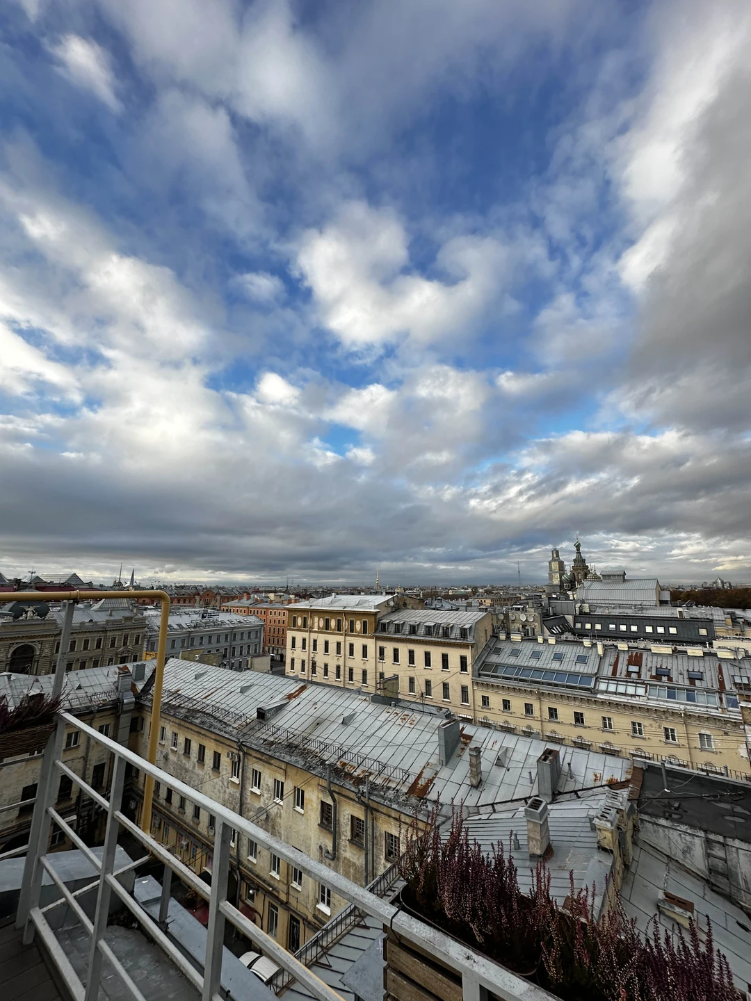 Открывая Петербург: витражи парадных, лабиринты дворов и романтика крыш (Чепелева)