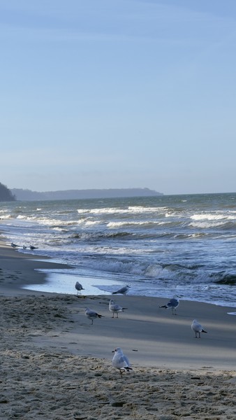 Вострог, восторг полный восторг!