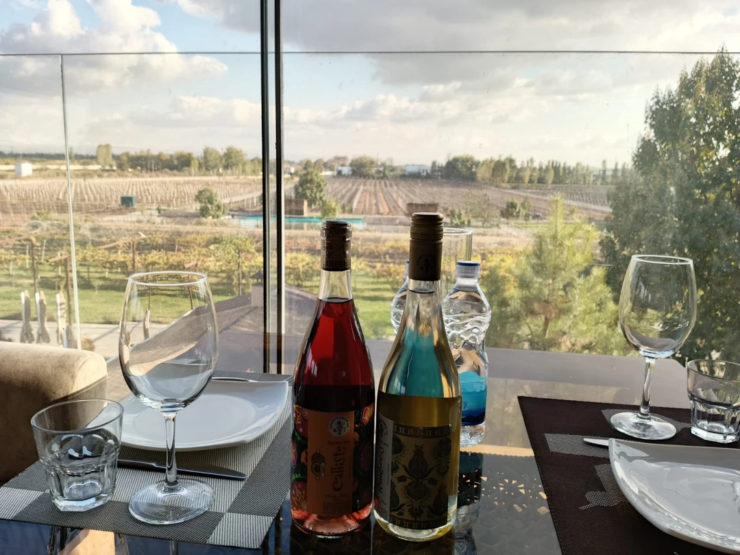 Экскурсия в Институт Солнца, Мечеть Хазрат Али Бува и на винодельню была потрясающей