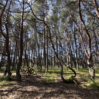 Фото путешественника — 1