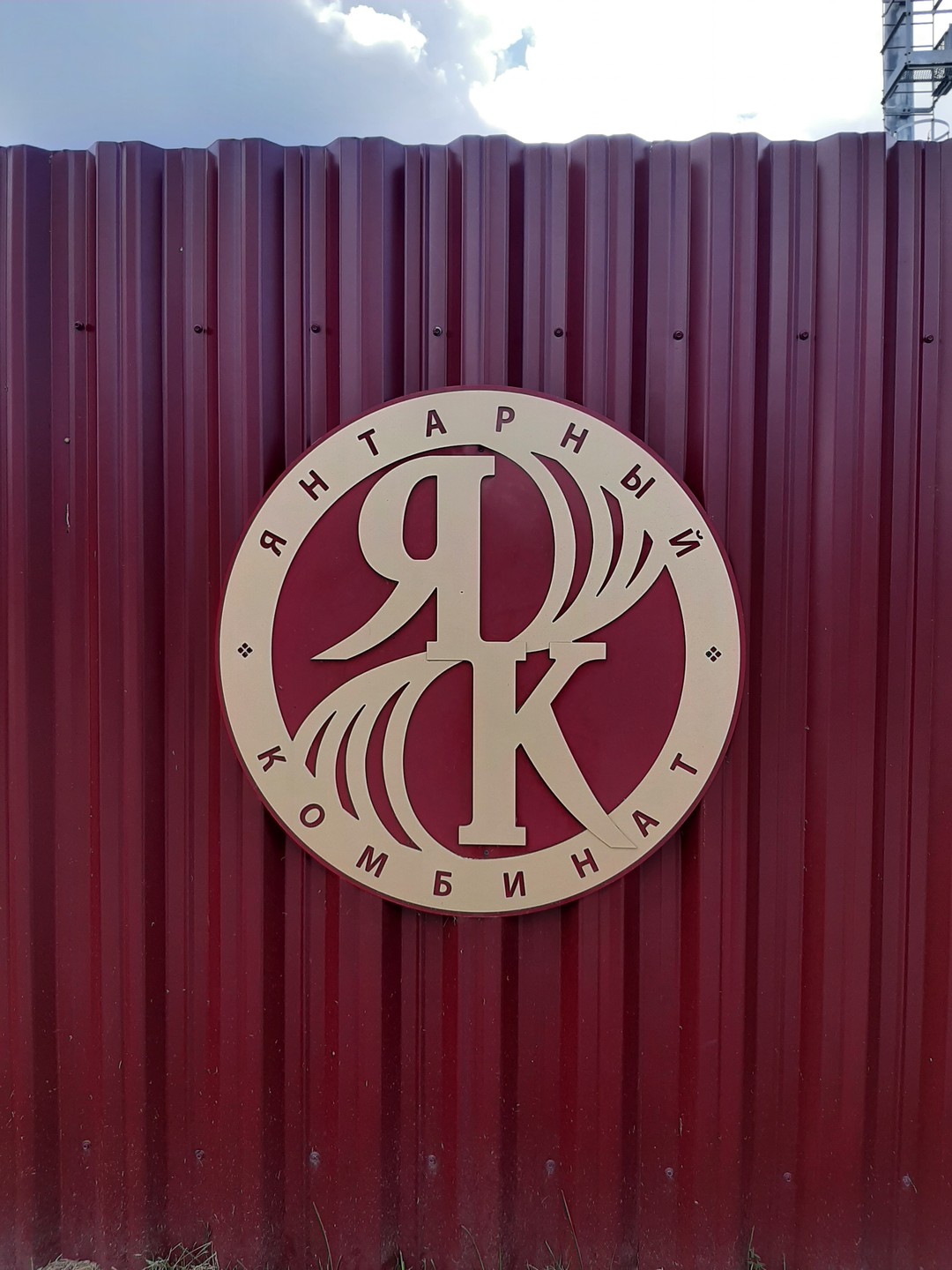 Путешествие по янтарному побережью из Калининграда (Татьяна)