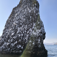 Фото отзыва 5: экскурсия "Путешествие к острову Старичков: морская рыбалка + крабовое сафари"