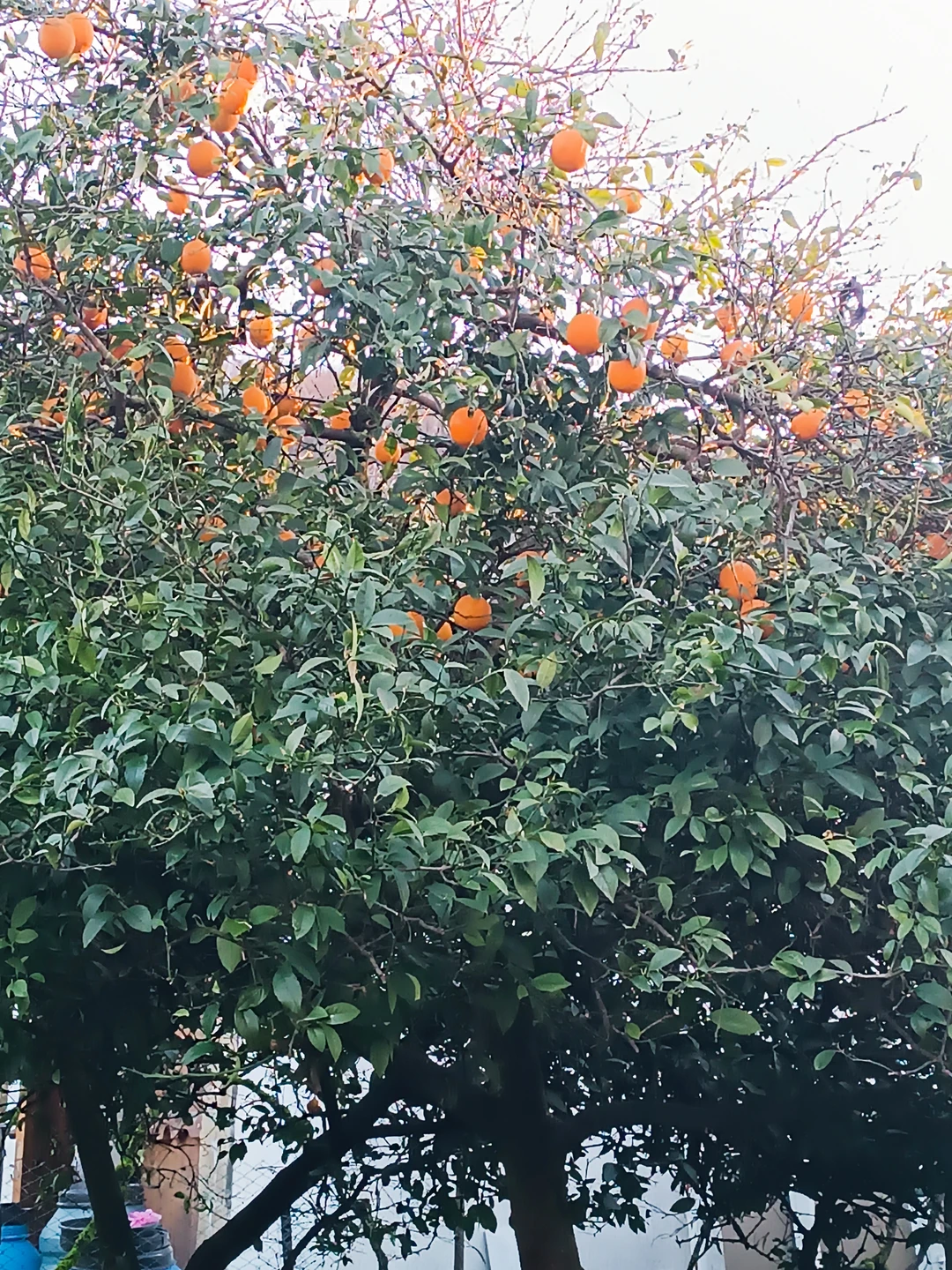 Хотим поблагодарить Даниэля за прекрасно проведенный день 7 марта. Экскурсия прошла просто замечательно, время пролетело незаметно