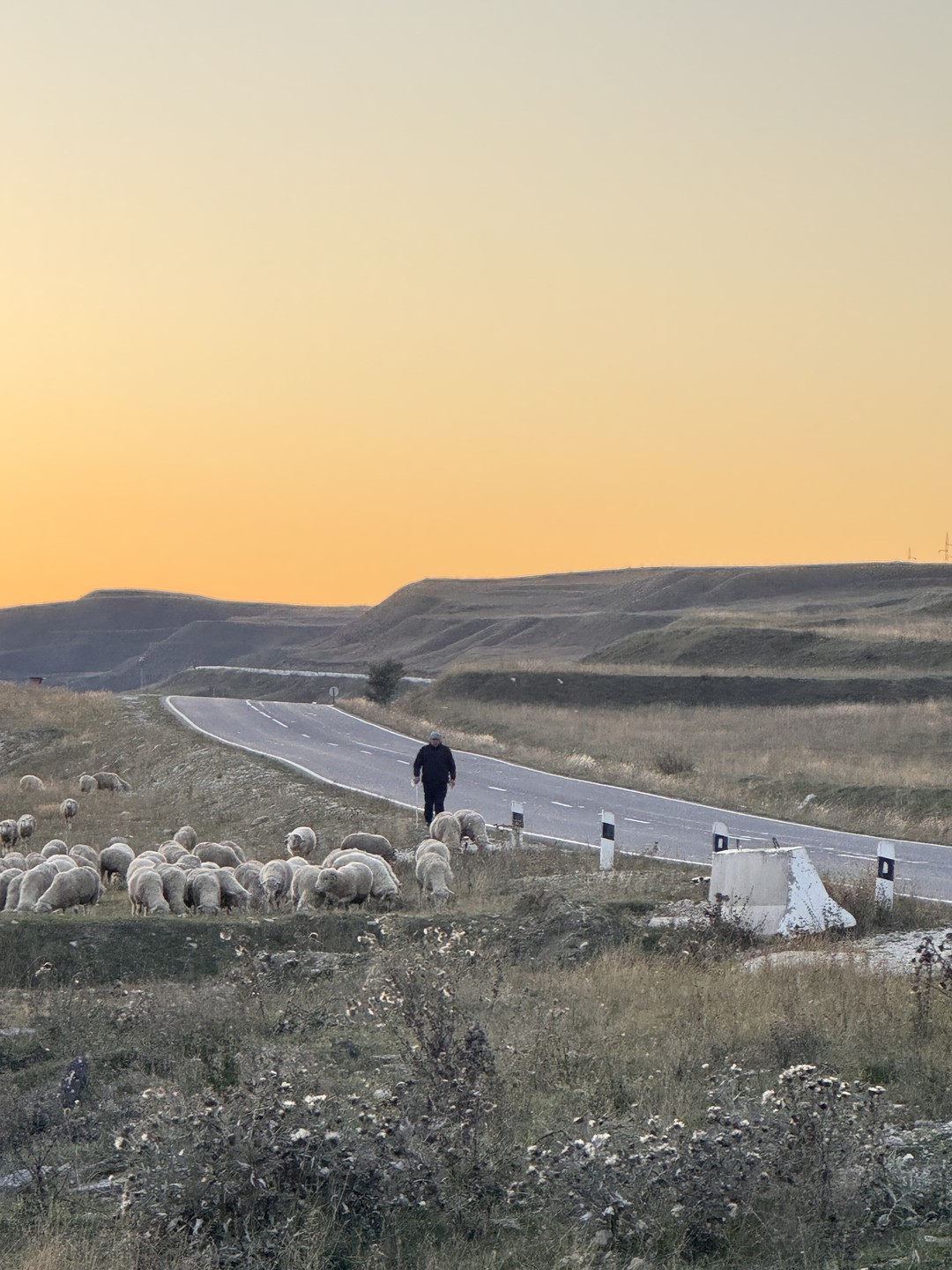 Все очень понравилось! Кормят очень много, голодными не останетесь. Гид Тамерлан и водитель Рафик отвечали на