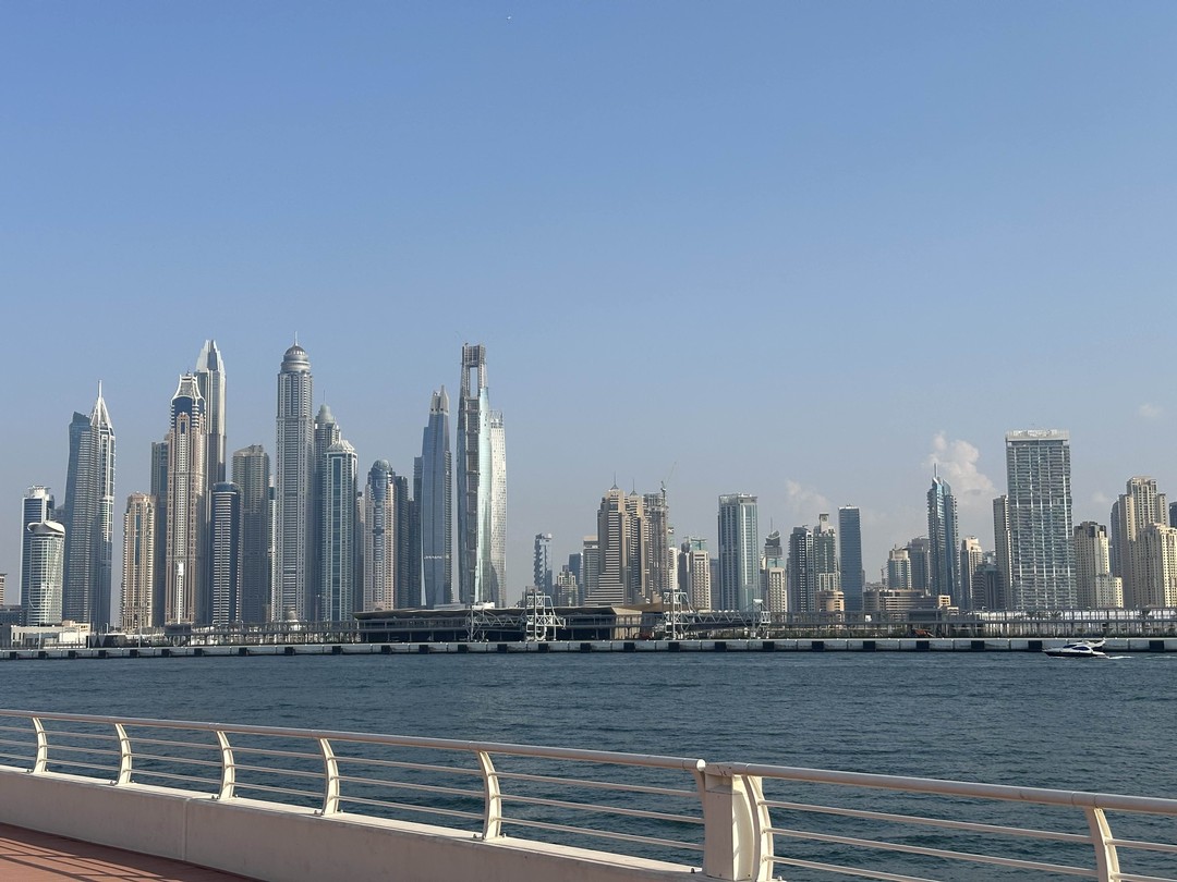 Наталья отличный гид и человек, любящий свой город, благодаря ей мы познакомились и очень полюбили Дубай