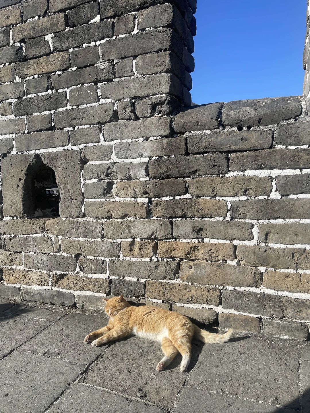 Очень понравился гид Юра! Шикарный!!!