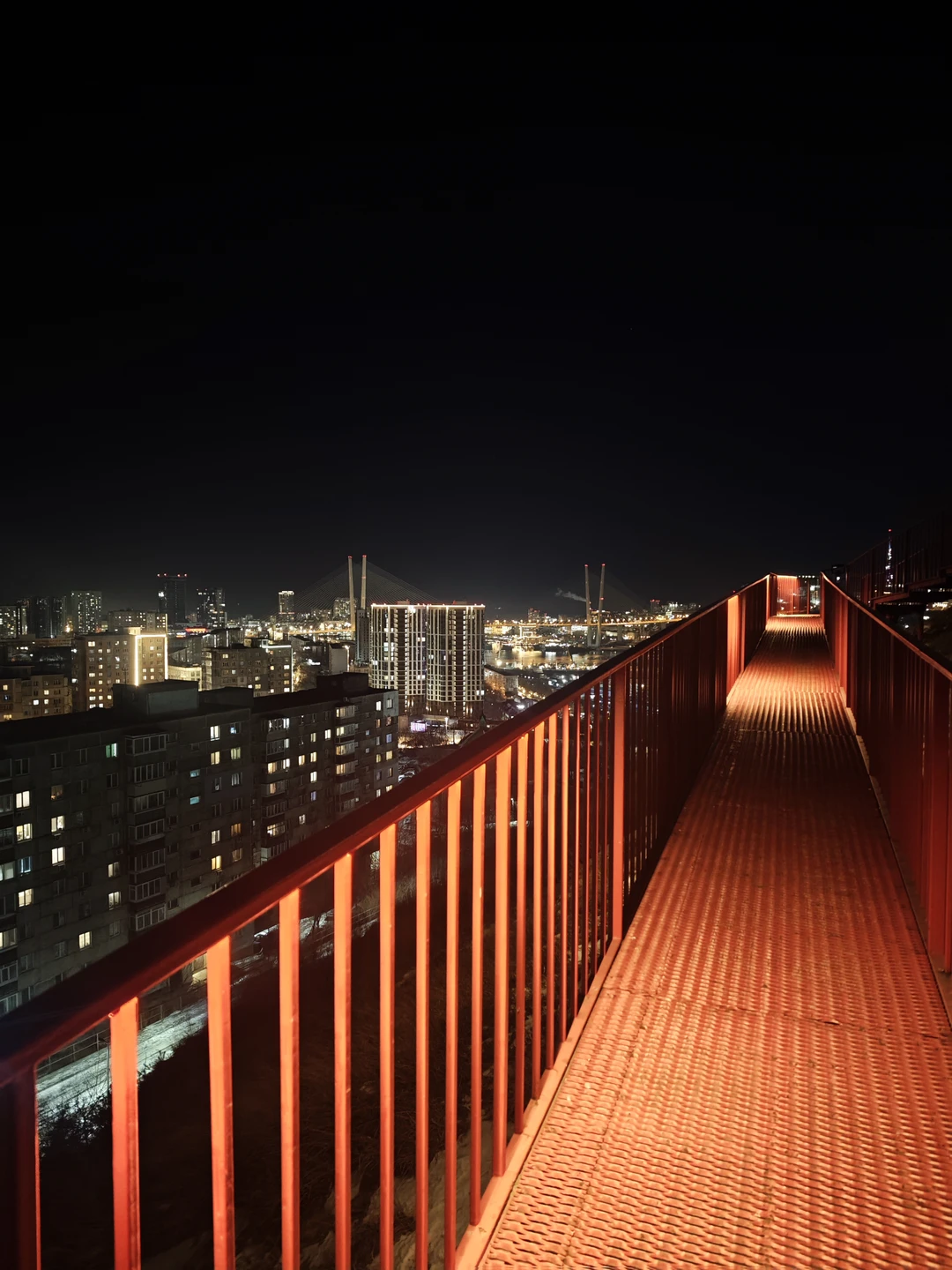 Приехала на короткий срок во Владивосток в командировку. Гид Анастасия оперативно отреагировала на мой запрос короткой