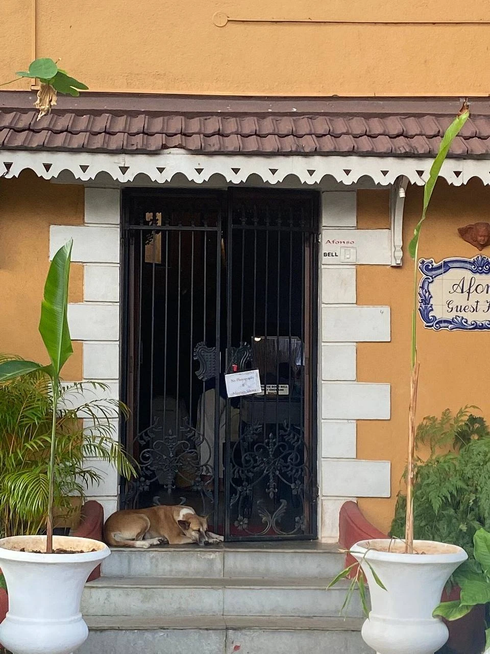 Я выбрала экскурсию "история пешком" - по самому центру Гоа